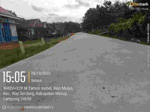 IMG-20251030-WA0020 (1)